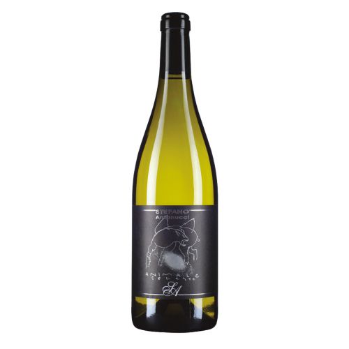 ANIMALE CELESTE STEFANO ANTONUCCI SAUVIGNON BLANC