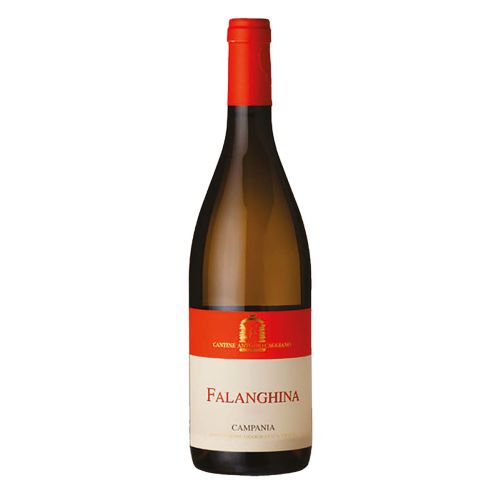 FALANGHINA CAMPANIA I.G.T.