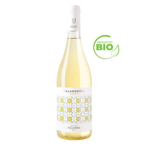 MAIOLICHE FALANGHINA PUGLIA I.G.P. BIOLOGICO 2021