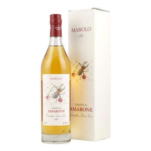 GRAPPA DI AMARONE