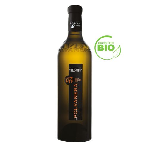 MOSCATELLO SELVATICO PUGLIA I.G.P. BIOLOGICO